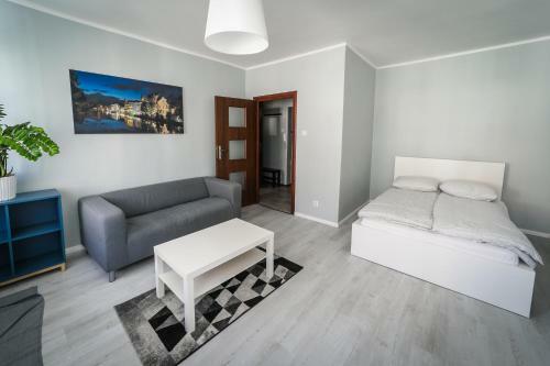 Silver Vision Apartment - Rynek Opole Eksteriør bilde